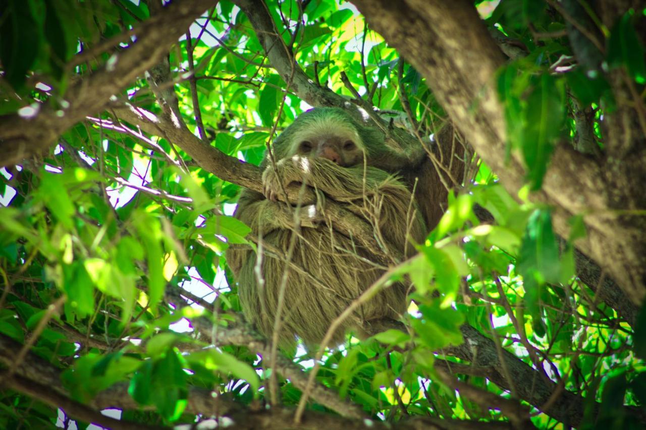 Casona Del Valle Potrerillos Eksteriør billede