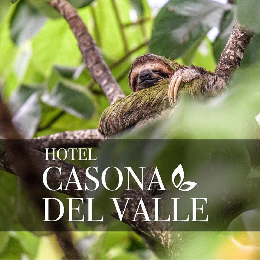 Casona Del Valle Potrerillos Eksteriør billede